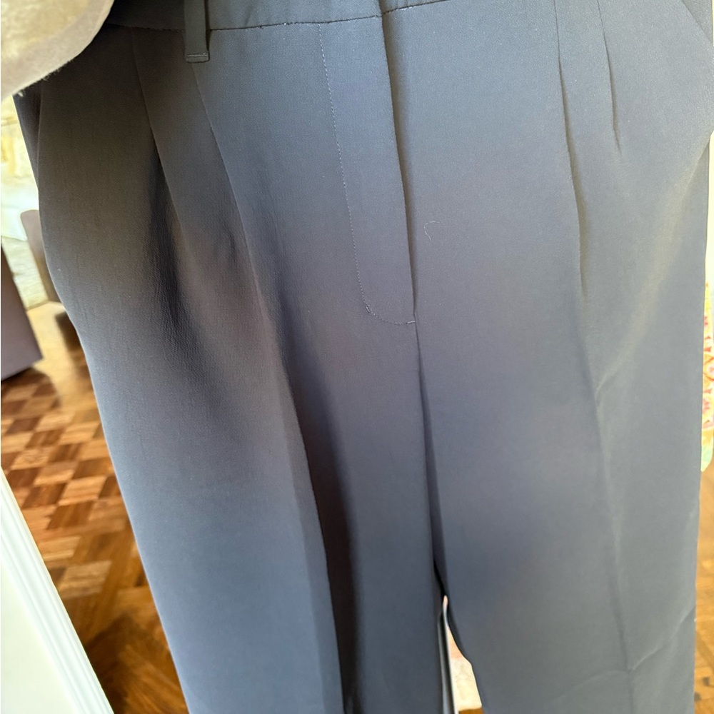 Aritzia Babaton women’s Pants